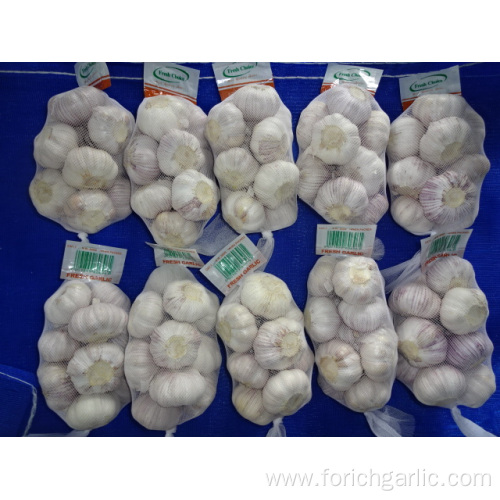 Normal White Garlic Crop 2019 Jinxiang